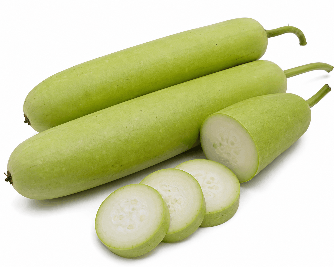 Bottle Gourd